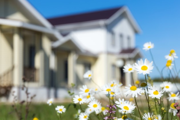 A house with white and yellow flowers in its front yard